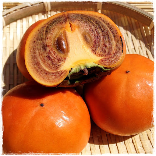 Coffee Cake Japanese Persimmon, Nishimura Wase, 西村早生(にしむらわせ)柿