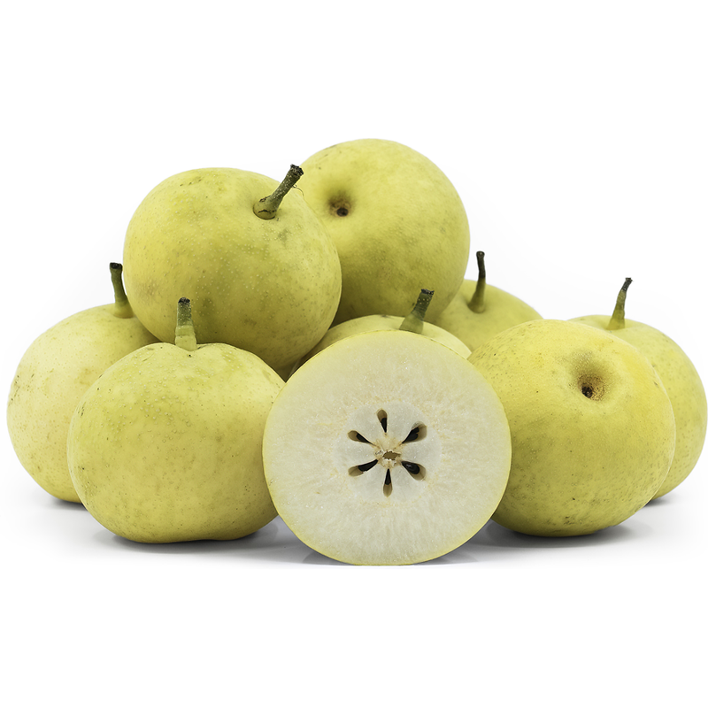 Pre Sale 2026! Tottori Nijisseiki Pear,20th Century Asian Pear on Pyrus betulifolia, 鳥取二十世紀梨,水晶梨