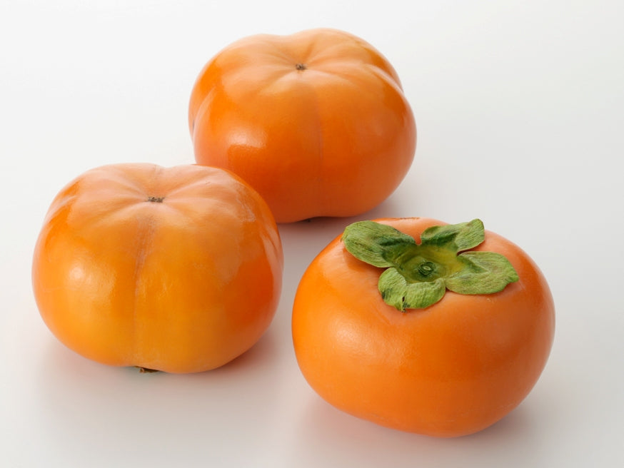 Fuyu Jiro Japanese Persimmon Tree 次郎(じろう)完全甘柿 次郎日本甜柿