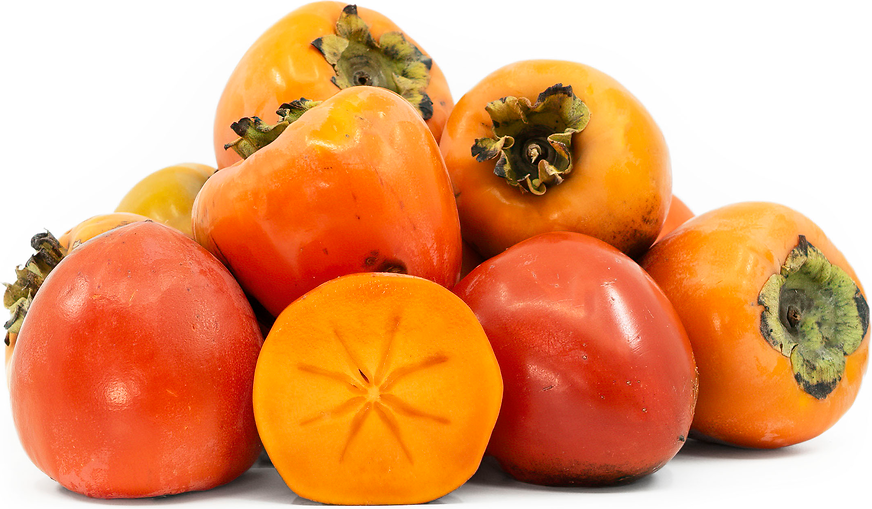 Hachiya Persimmon tree, bare root. はちやがき,蜂屋柿 US Seller