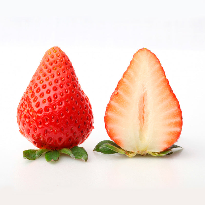 5 Japanese Kaorino Strawberry Plants, Bare Root,かおり野　イチゴ, 香野草莓，隋珠