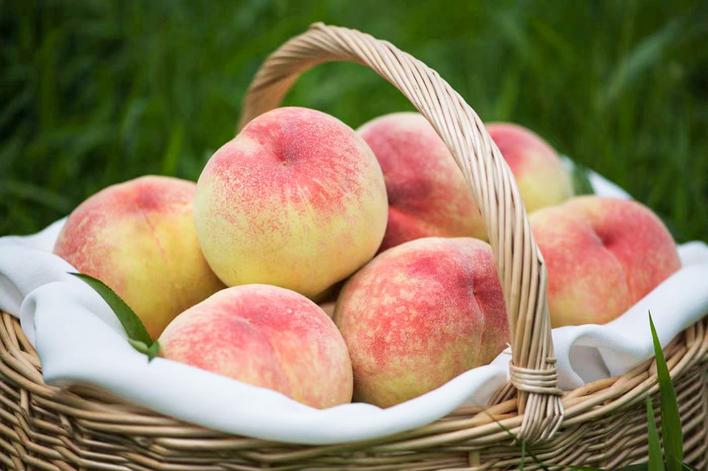 Hujing Honey Peach Tree, Yangshan Hujing, 无锡阳山湖景蜜露水蜜桃