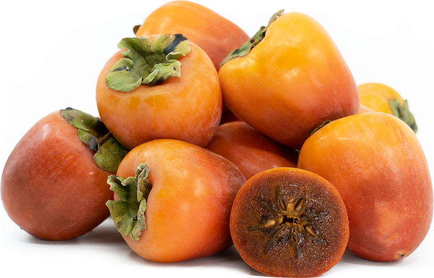 Tsuru Noko Aka Chocolate Japanese Persimmon Tree, Tsurunoko完全甘柿， 鹤之子日本甜柿