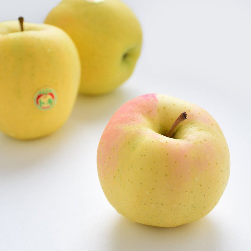 Japanese Aomori Toki apple tree, bare root, 青森水蜜桃蘋果，土岐（拓季）