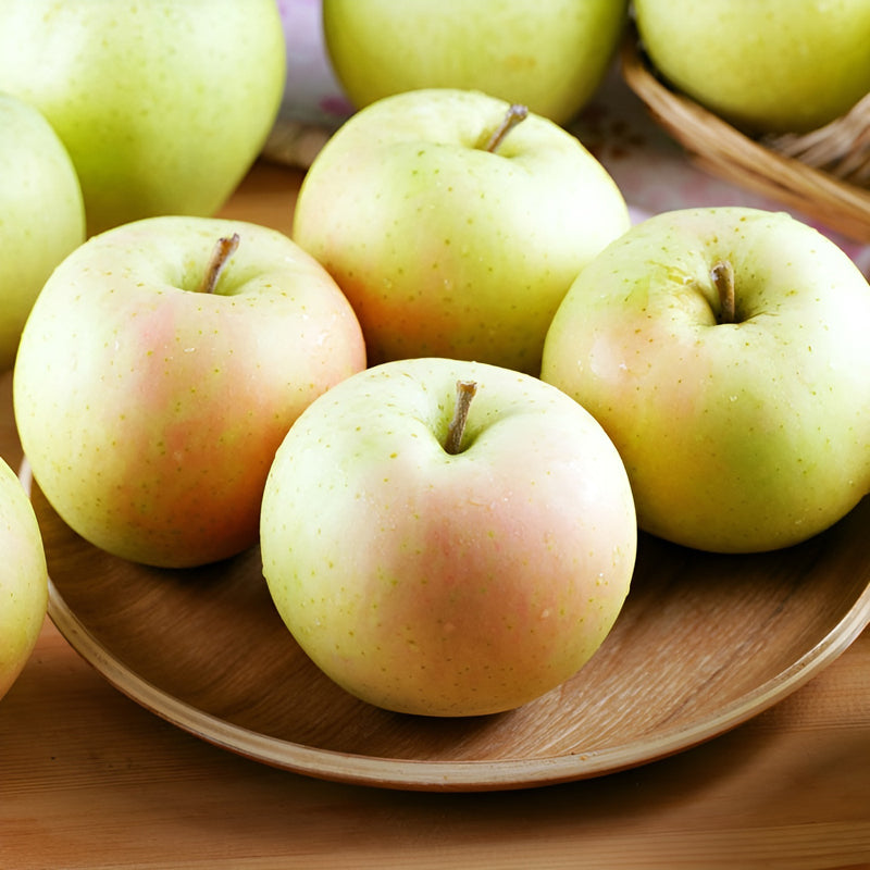 Japanese Aomori Toki apple tree, bare root, 青森水蜜桃蘋果，土岐（拓季）