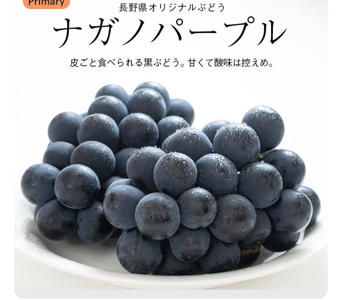 Nagano Purple Japanese Seedless Grape Plant, 長野パープル,长野紫峰