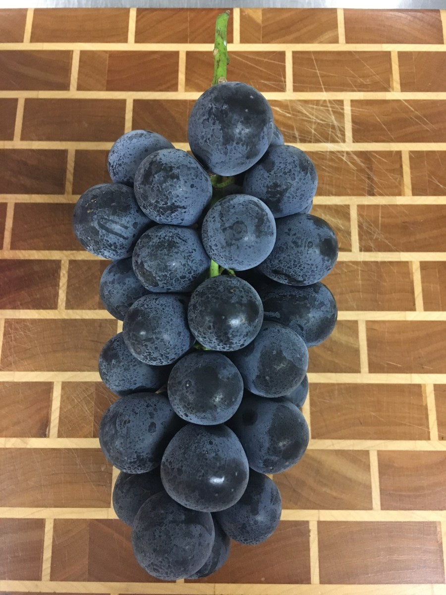 Nagano Purple Japanese Seedless Grape Plant, 長野パープル,长野紫峰