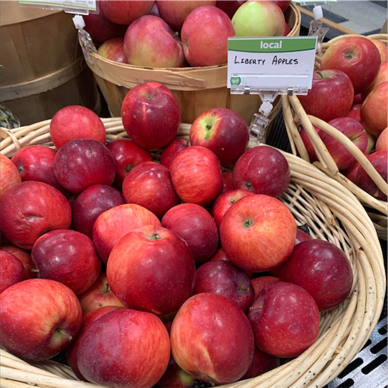 Liberty Apple Tree, Bare Root